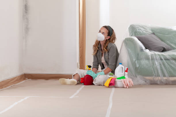 Reliable Basement Mold Remediation contractor in Spring Mills, PA by WQB Mold Removal